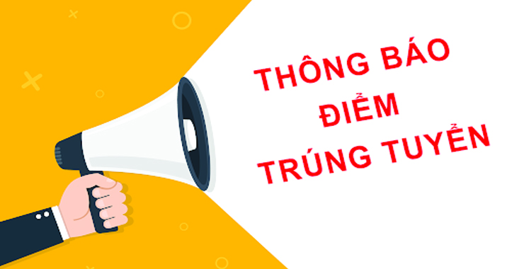Không có ảnh